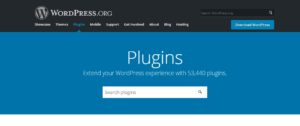 Are outdated plugins safe to use on a WordPress site?