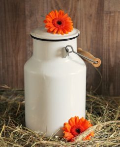 pail of fresh milk= updated wordpress plugin