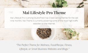 Mai Lifestyle Pro Theme Review