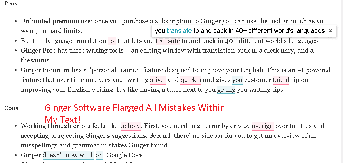 Ginger Software flagged all grammar and spelling mistakes inside my WordPress